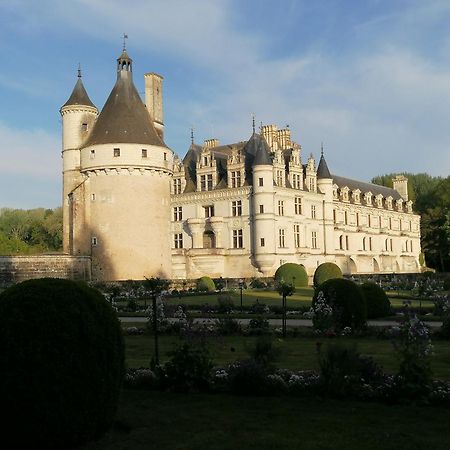 Le Moulin Du Mesnil Bed & Breakfast Saint-Georges-sur-Cher Luaran gambar