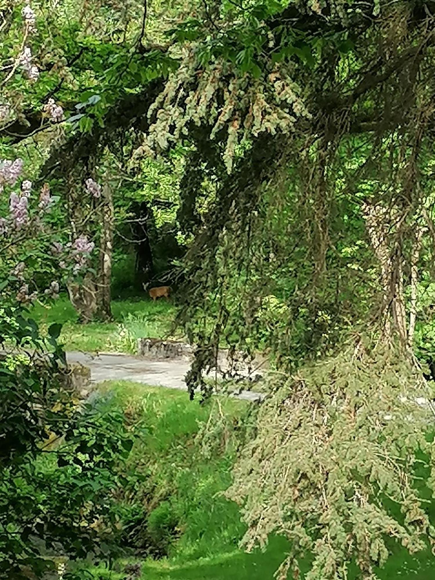 Le Moulin Du Mesnil Bed & Breakfast Saint-Georges-sur-Cher Luaran gambar